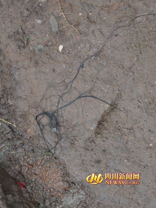 �������Iʬ�wɢ���ڬF�����^�l