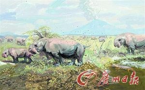 動物在同一地點排泄廢物,可以把其作為領土的標記。